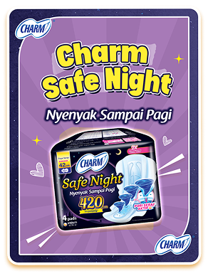 charm-safe-night
